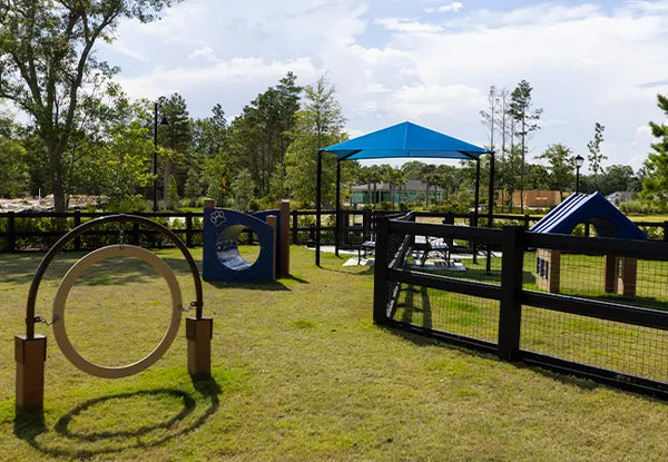 Barking Up the Right Tree: Tips for Designing a Dog Playground