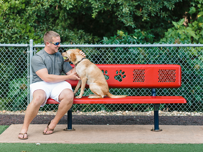 The Benefits of Adding a Dog Playground to Your Park