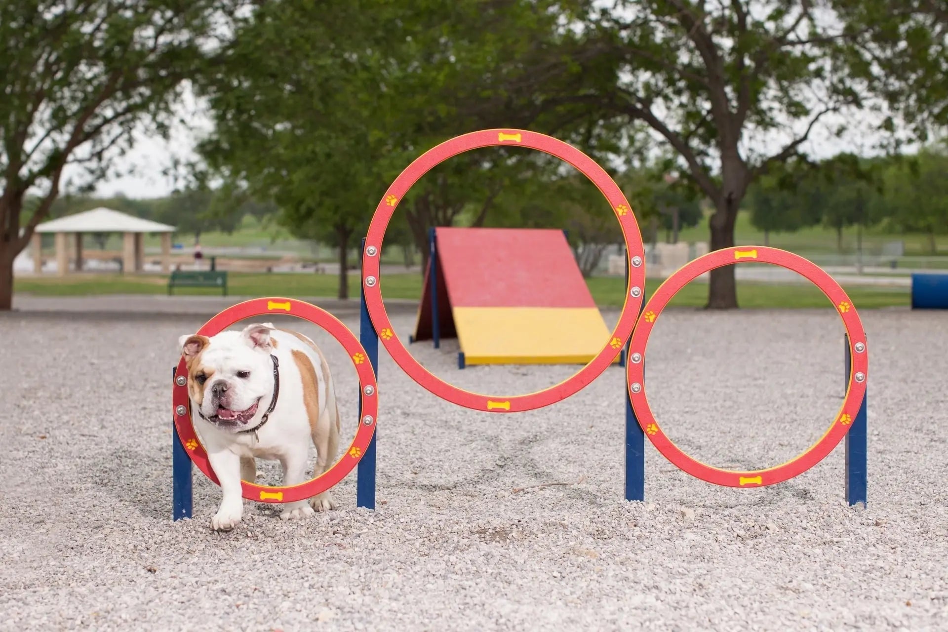 Dog-ON-It-Commercial-Dog-Park-Equipment Playgrounds Etc
