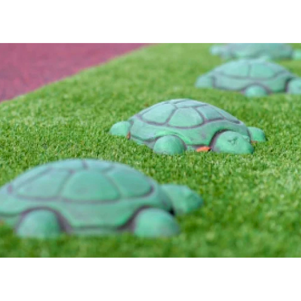 Stepping Turtles Set for Nature Playground