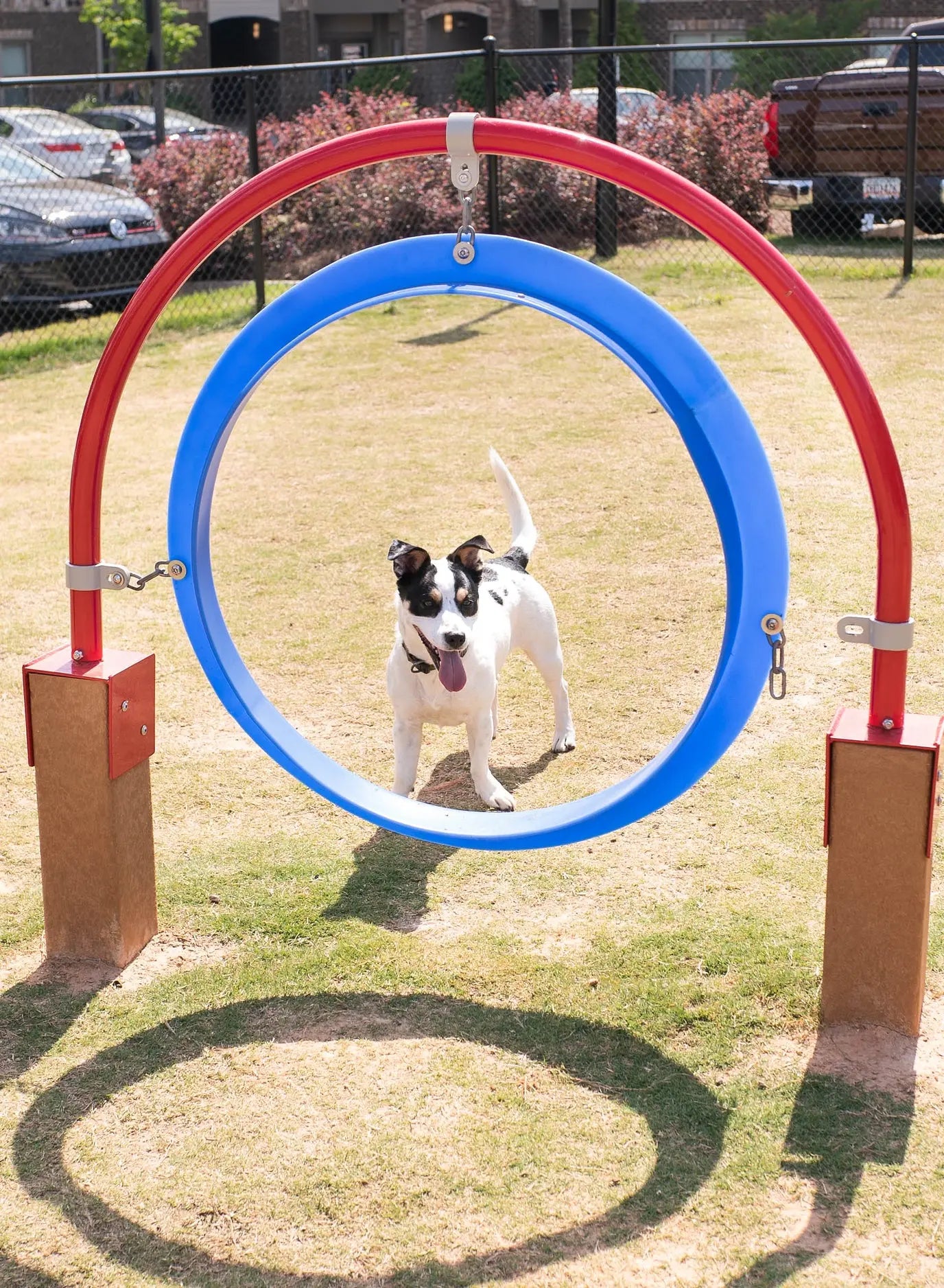 Through the Target Dog Park Equipment - Dog Playground  Dog Playgrounds Playgrounds Etc