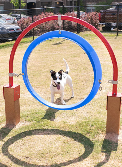 Through the Target Dog Park Equipment - Dog Playground  Dog Playgrounds Playgrounds Etc