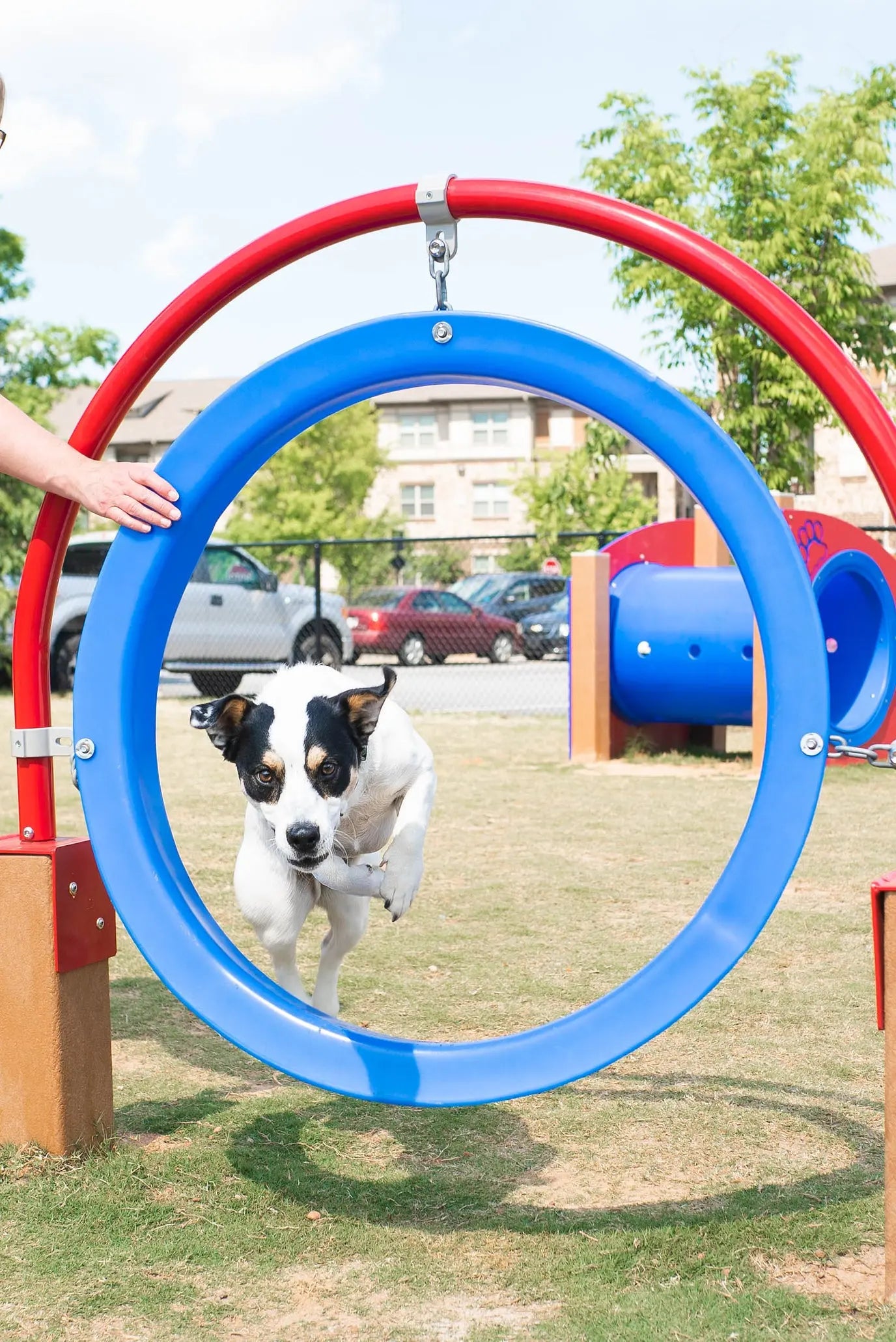 Through the Target Dog Park Equipment - Dog Playground  Dog Playgrounds Playgrounds Etc