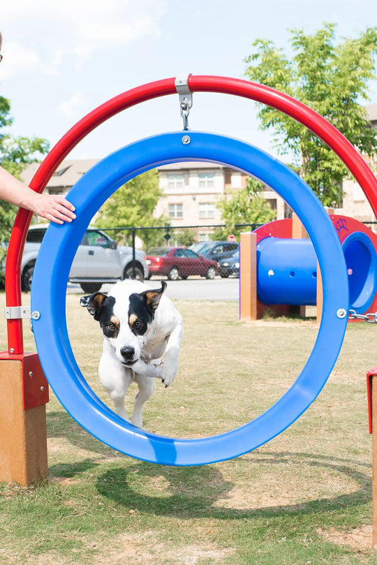 Through the Target Dog Park Equipment Dog Playground Dog
