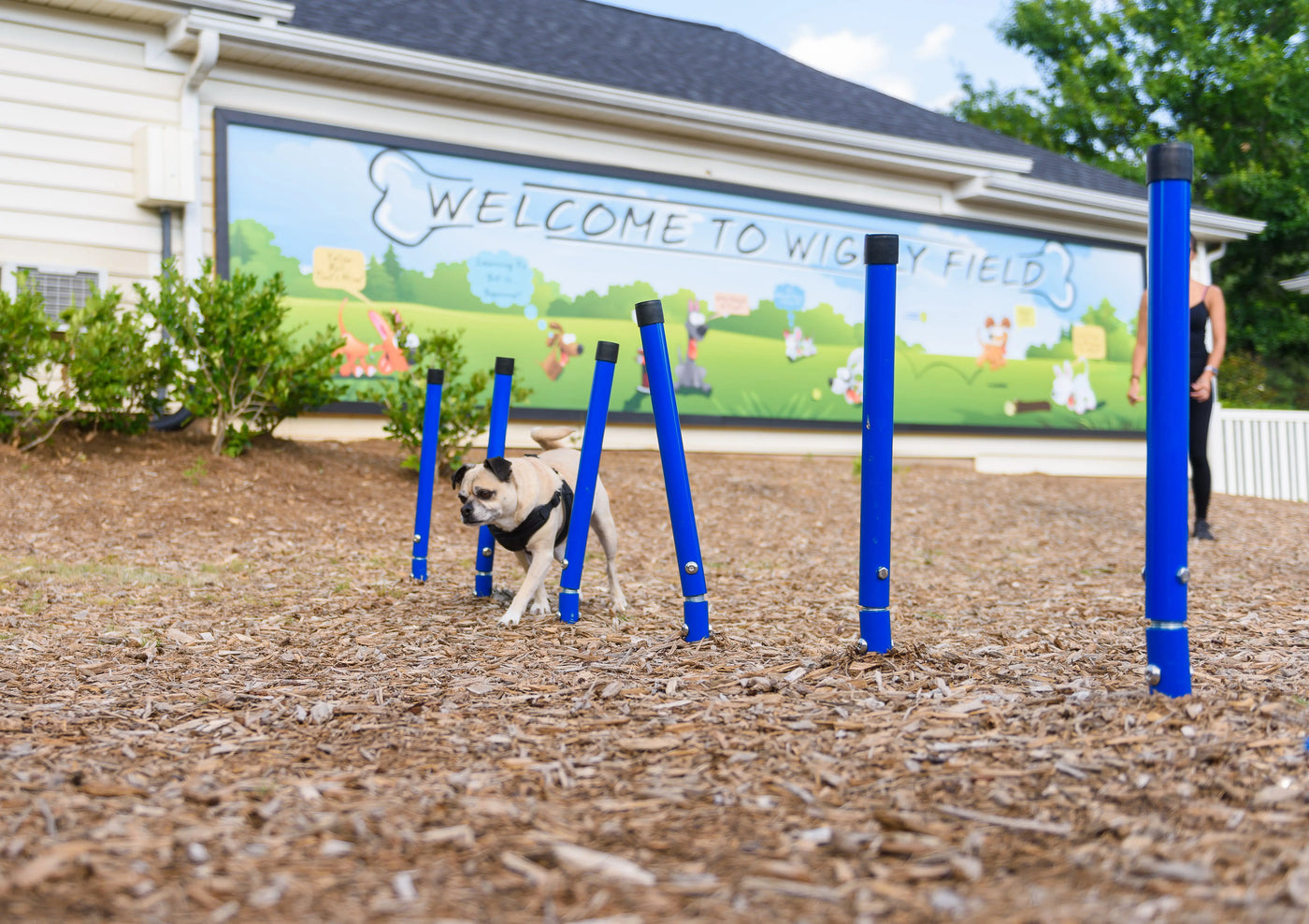 Weave Posts Dog Agility Posts - Dog Park Equipment Dog Park Equipment ...