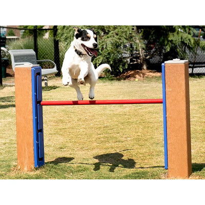 Limbone Anyone Dog Playground  Dog Playgrounds Playgrounds Etc